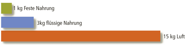Tagesverbrauch-Luft-und-Nahrung